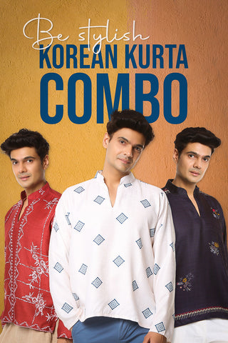 Ikkat X Phulkari X Kalamkari ( Korean Shirt Kurta )